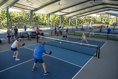 pickleball clubs and training programs – 11 pickleball clubs and training programs - 11